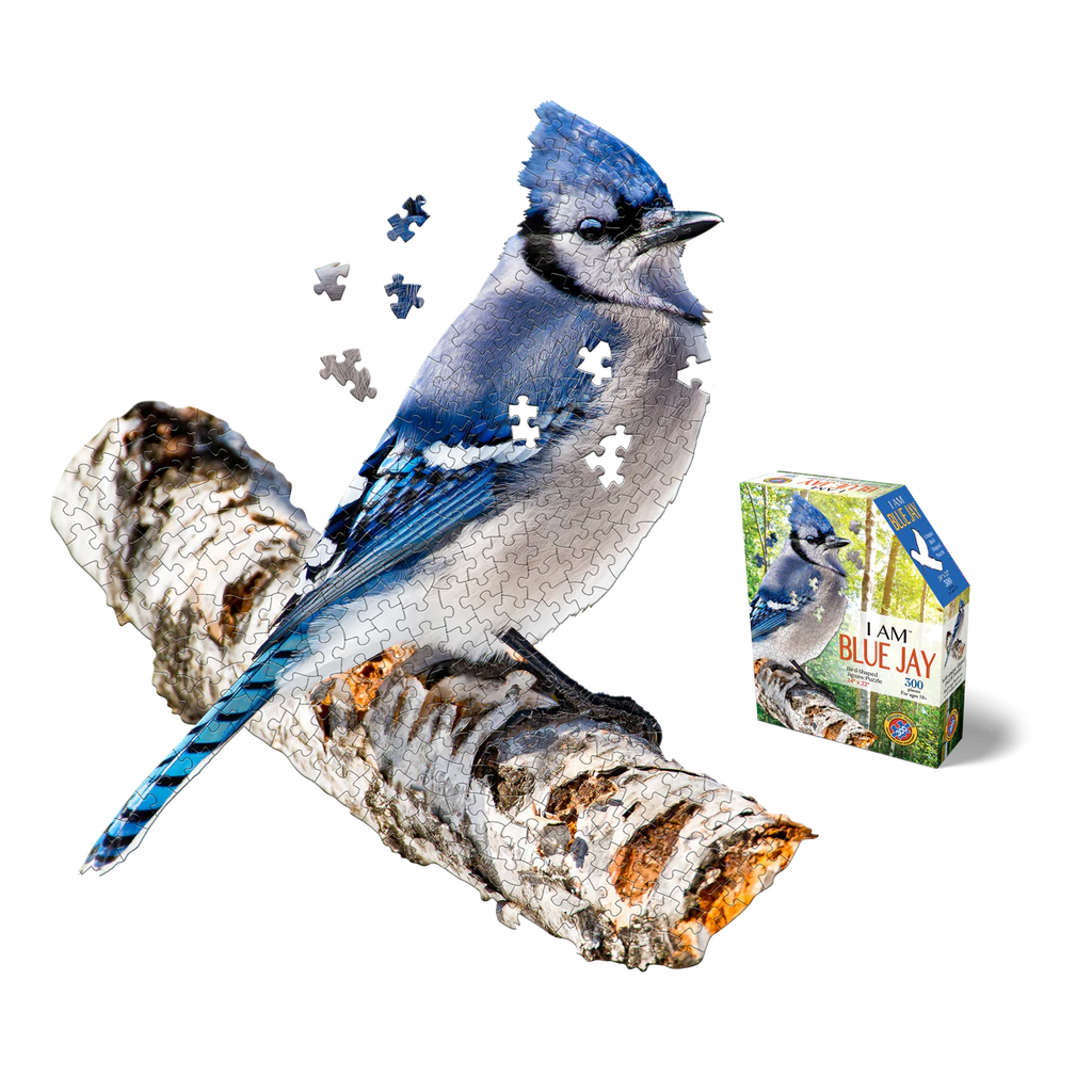 I AM Blue Jay