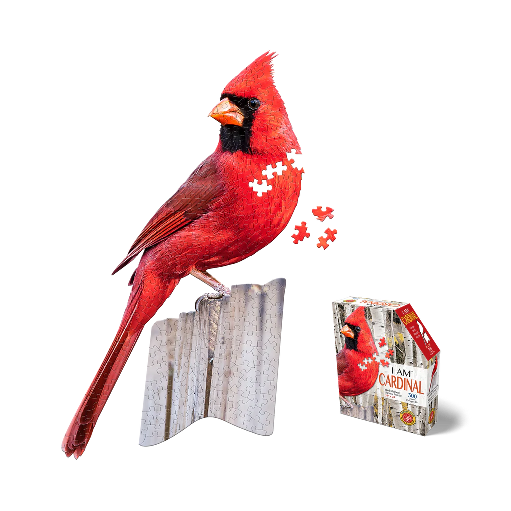 I AM Cardinal