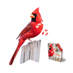 I AM Cardinal