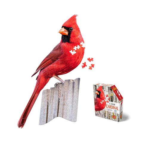 I AM Cardinal