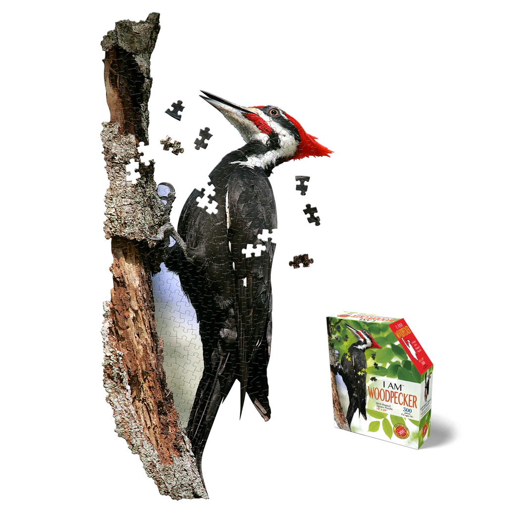 I AM Woodpecker