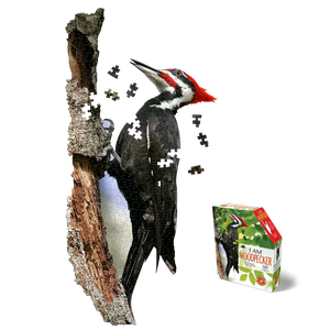 I AM Woodpecker