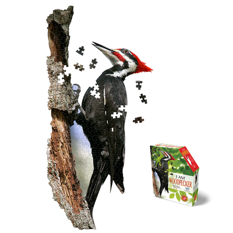 I AM Woodpecker