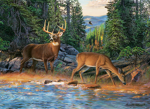 The River's Edge