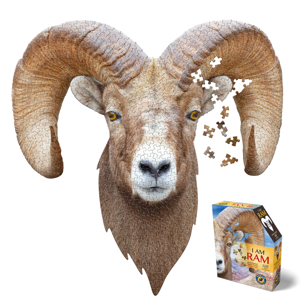 I AM Ram