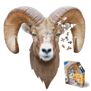 I AM Ram