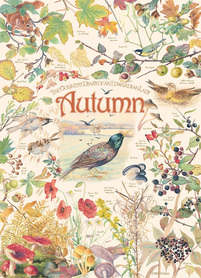 Country Diary Autumn