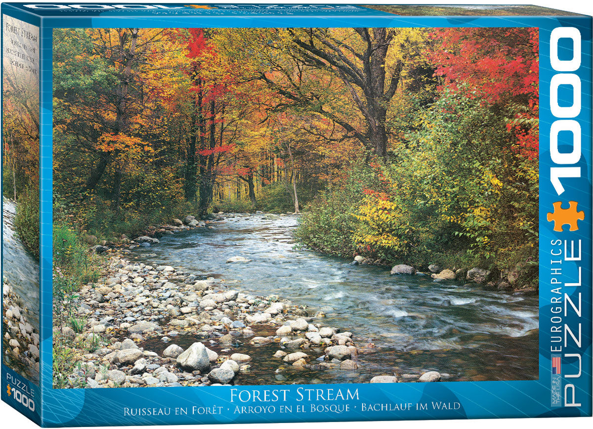 Forest Stream