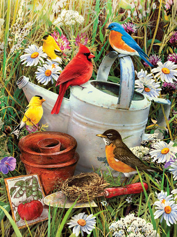 Garden Birds