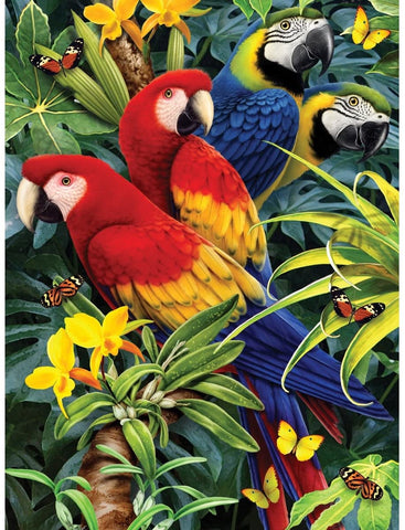 Majestic Macaws