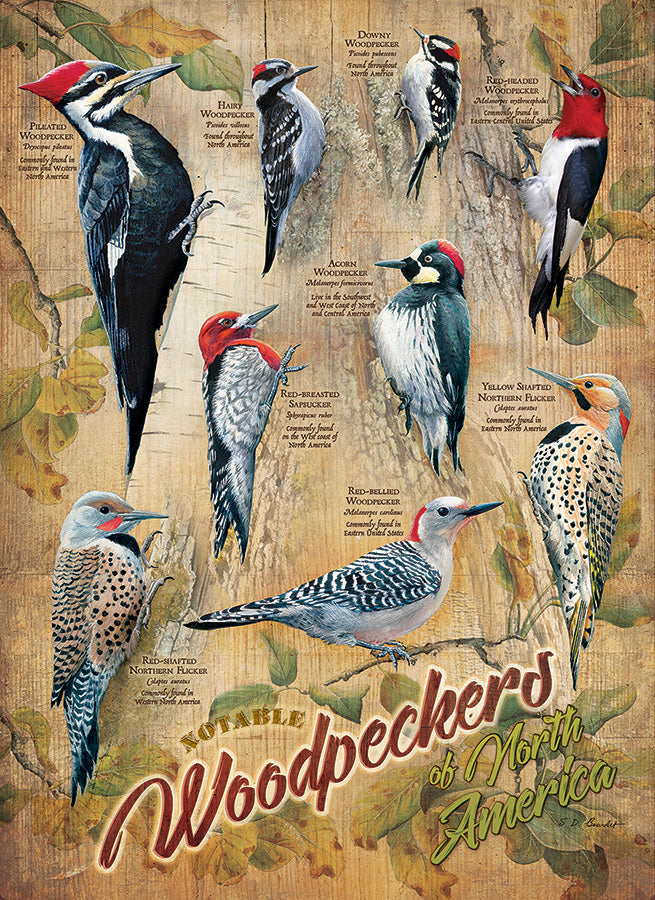 Notable Woodpeckers