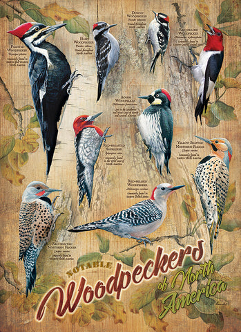 Notable Woodpeckers