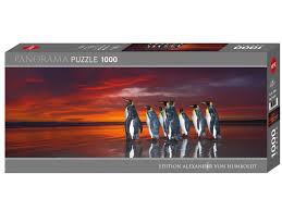 King Penguins