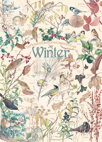Country Diary Winter