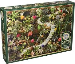 Succulent Garden