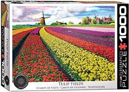 Tulip Fields